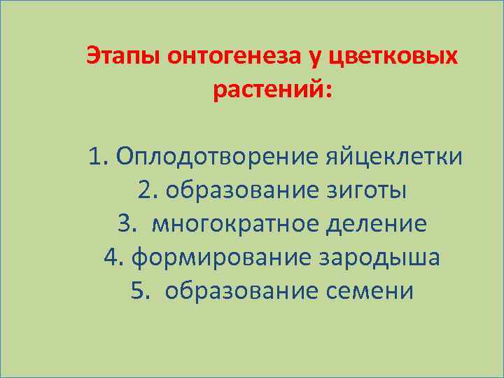 Этапы онтогенеза у цветковых растений: 1. Оплодотворение яйцеклетки 2. образование зиготы 3. многократное деление