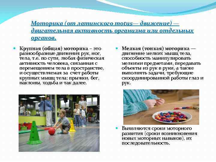 Моторика (от латинского motus— движение) — двигательная активность организма или отдельных органов. Крупная (общая)