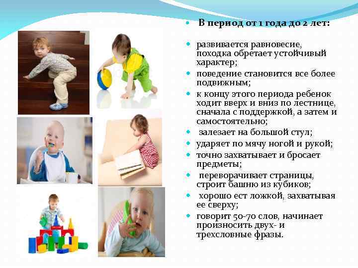  В период от 1 года до 2 лет: развивается равновесие, походка обретает устойчивый