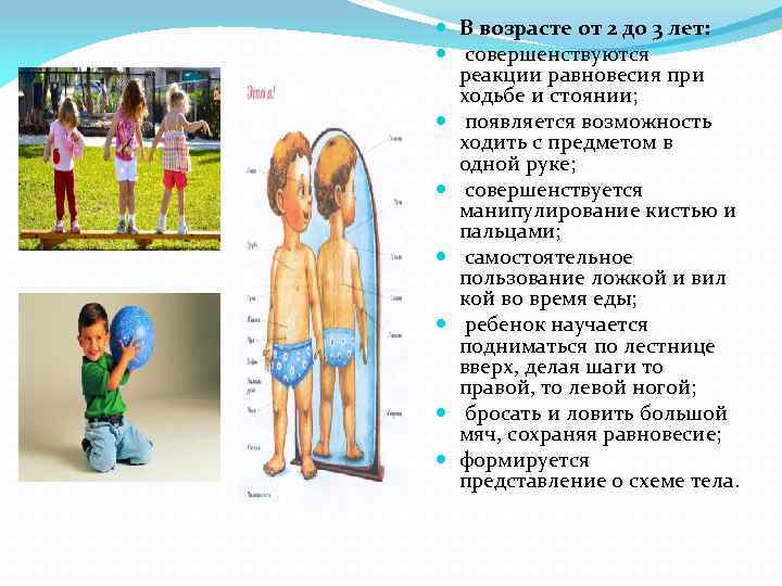  В возрасте от 2 до 3 лет: совершенствуются реакции равновесия при ходьбе и