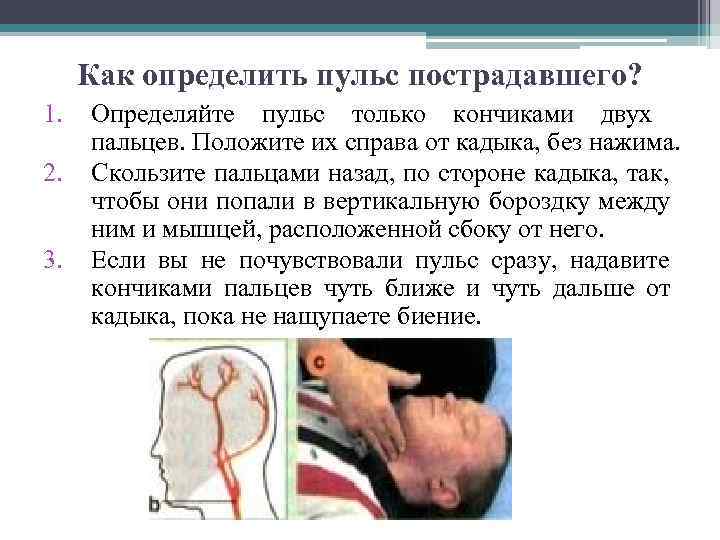 Как определить пульс пострадавшего? 1. 2. 3. Определяйте пульс только кончиками двух пальцев. Положите