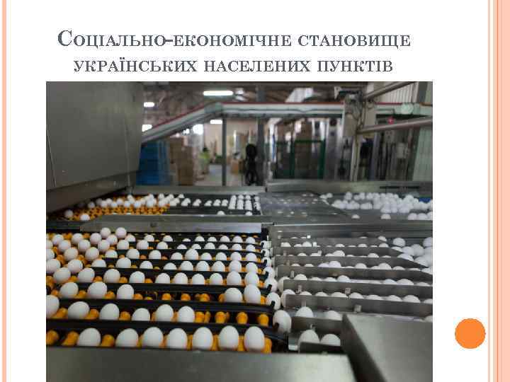 СОЦІАЛЬНО-ЕКОНОМІЧНЕ СТАНОВИЩЕ УКРАЇНСЬКИХ НАСЕЛЕНИХ ПУНКТІВ 