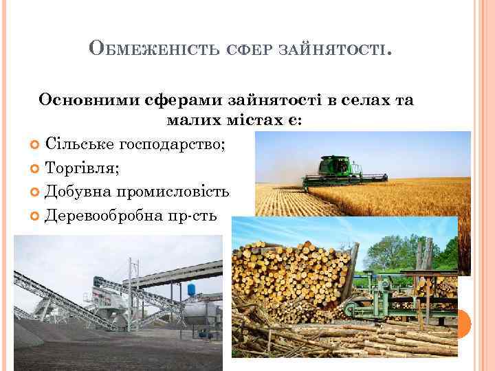 ОБМЕЖЕНІСТЬ СФЕР ЗАЙНЯТОСТІ. Основними сферами зайнятості в селах та малих містах є: Сільське господарство;