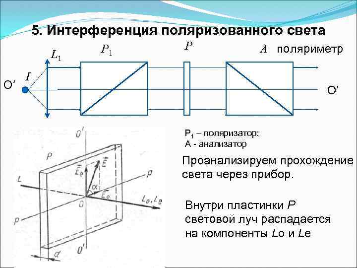 Что понимают под проекционной картиной поляризованного света