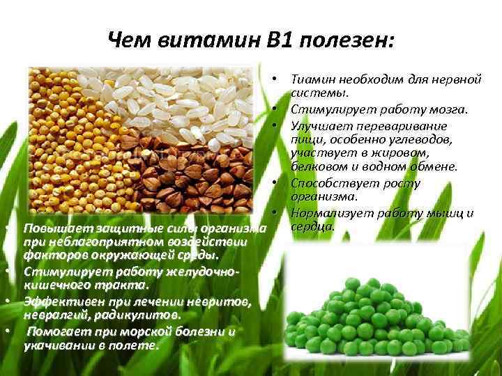 Чем витамин В 1 полезен: • • • Тиамин необходим для нервной системы. •