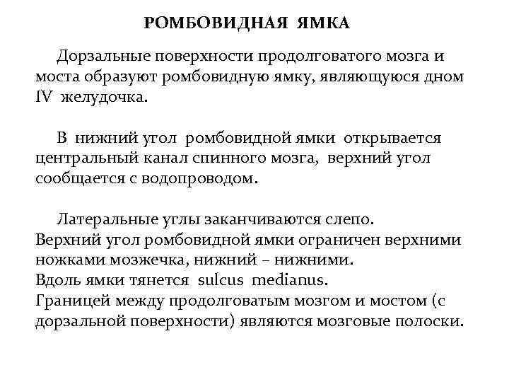 РОМБОВИДНАЯ ЯМКА Дорзальные поверхности продолговатого мозга и моста образуют ромбовидную ямку, являющуюся дном IV