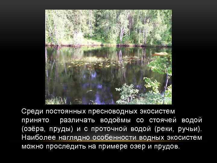 Среди постоянных пресноводных экосистем принято различать водоёмы со стоячей водой (озёра, пруды) и с