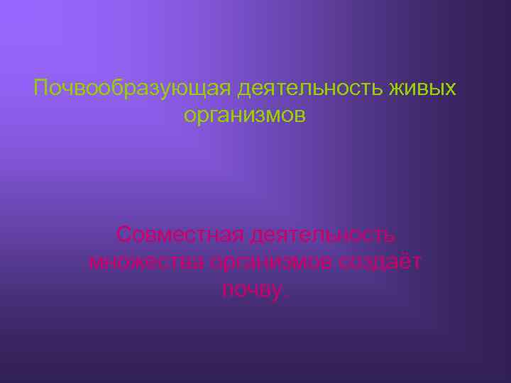 Почвообразующая деятельность живых организмов Совместная деятельность множества организмов создаёт почву. 