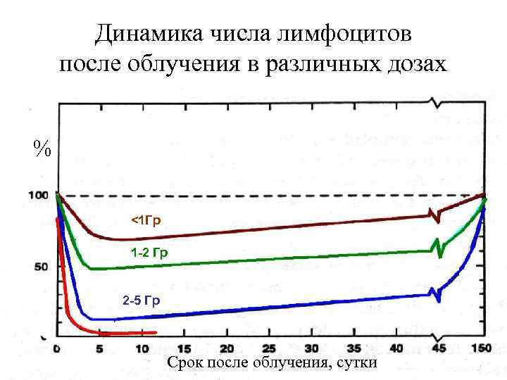 Динамика числа лимфоцитов после облучения в различных дозах % <1 Гр 1 -2 Гр