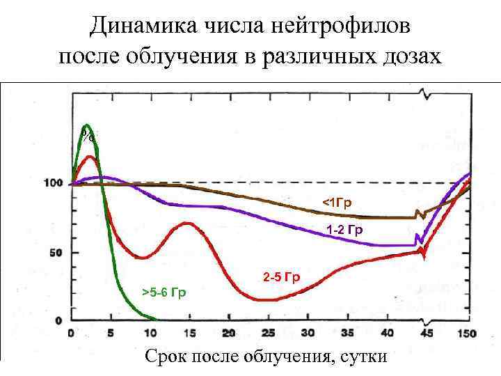 Динамика числа нейтрофилов после облучения в различных дозах % <1 Гр 1 -2 Гр