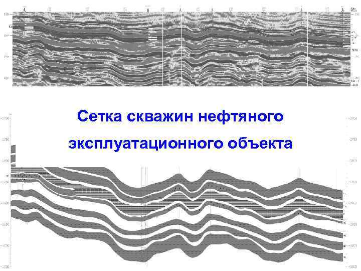 Сетка скважин нефтяного эксплуатационного объекта 