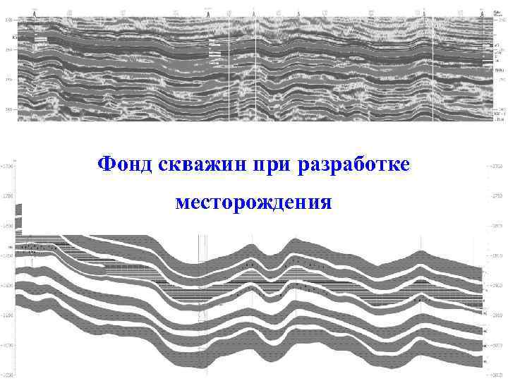 Фонд скважин при разработке месторождения 