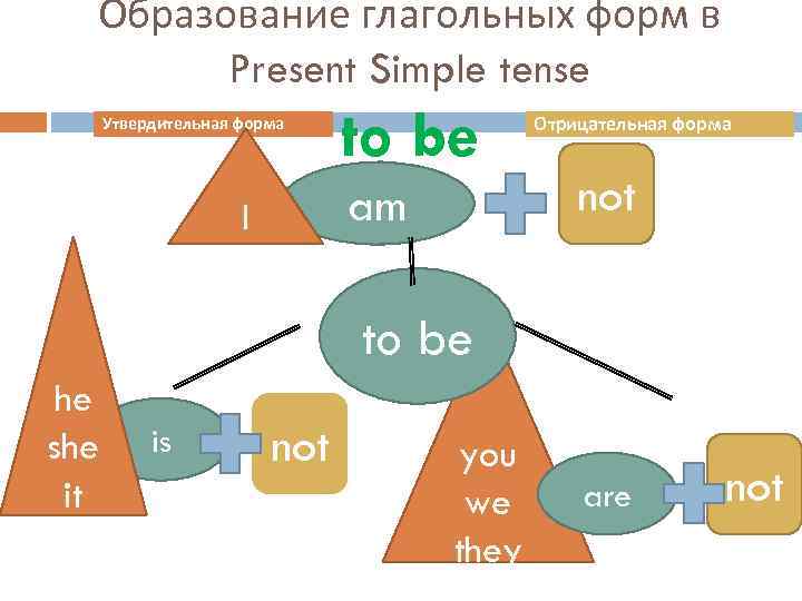 Образование глагольных форм в Present Simple tense Утвердительная форма to be am I Отрицательная