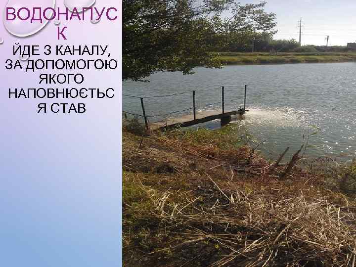ВОДОНАПУС К ЙДЕ З КАНАЛУ, ЗА ДОПОМОГОЮ ЯКОГО НАПОВНЮЄТЬС Я СТАВ 