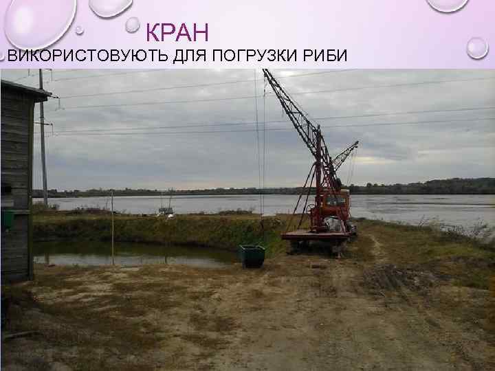 КРАН ВИКОРИСТОВУЮТЬ ДЛЯ ПОГРУЗКИ РИБИ 