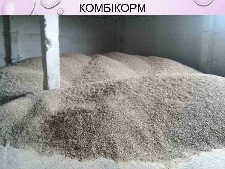 КОМБІКОРМ 