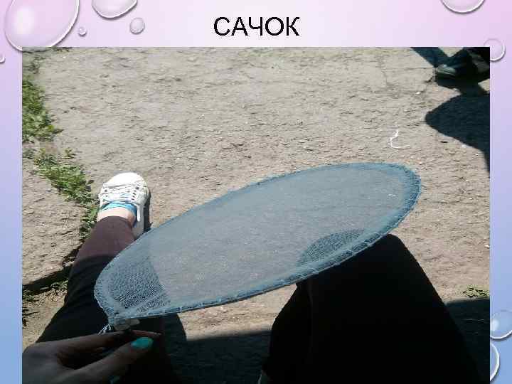 САЧОК 