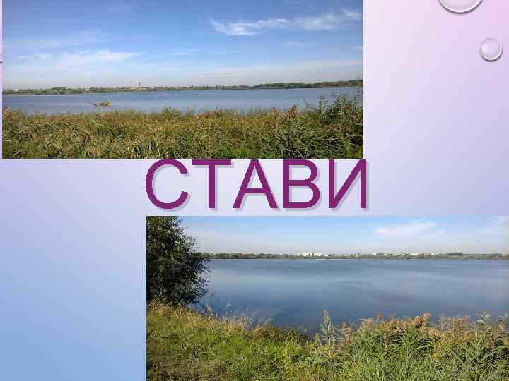 СТАВИ 