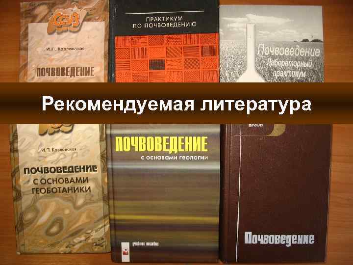 Рекомендуемая литература 