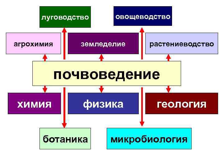 луговодство агрохимия овощеводство земледелие растениеводство почвоведение химия физика ботаника геология микробиология 