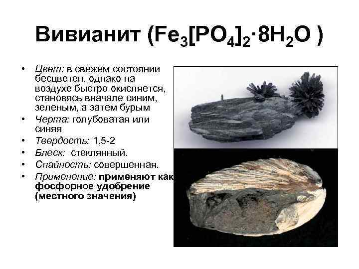 Вивианит (Fe 3[PO 4]2· 8 H 2 O ) • Цвет: в свежем состоянии