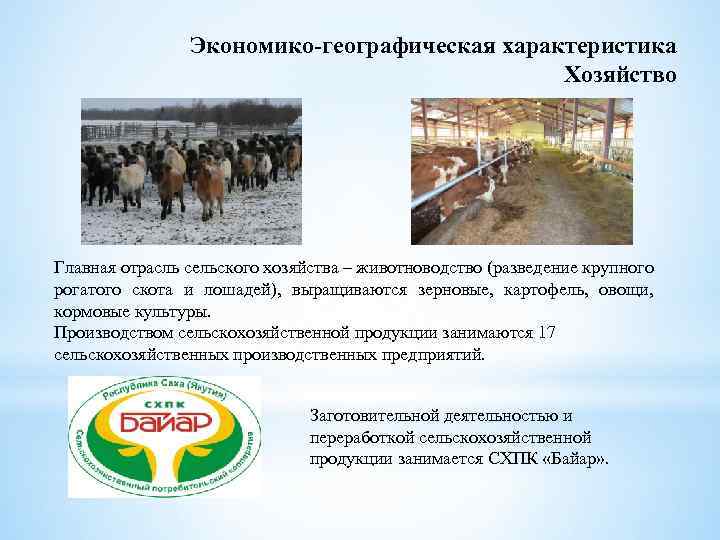 Экономико-географическая характеристика Хозяйство Главная отрасль сельского хозяйства – животноводство (разведение крупного рогатого скота и