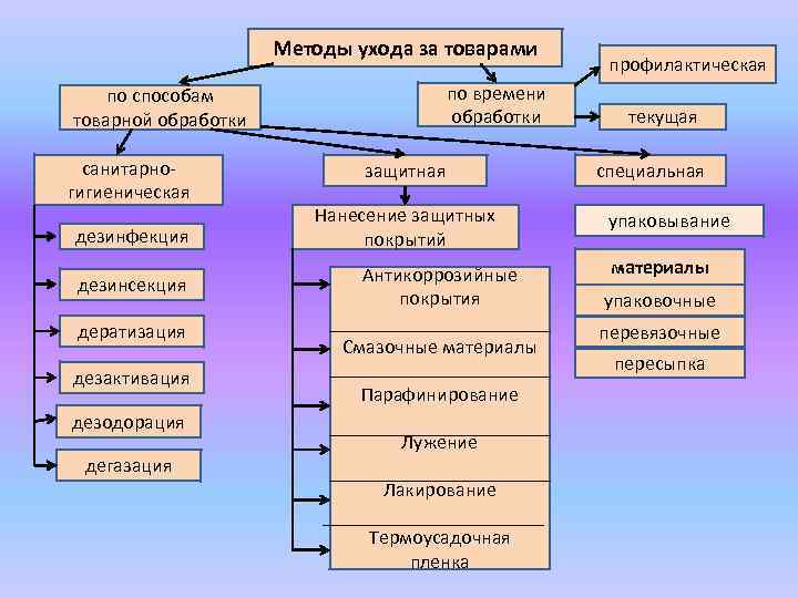 Методы ухода за товарами по времени обработки по способам товарной обработки санитарногигиеническая дезинфекция дезинсекция