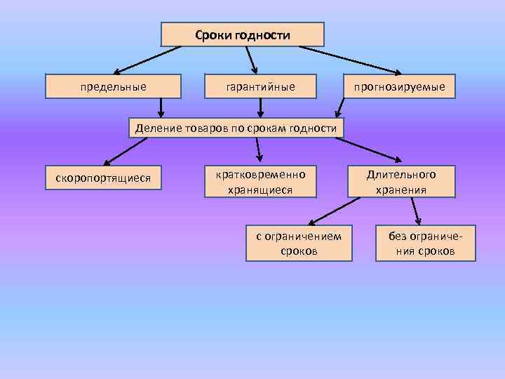 Схема классификации сроков