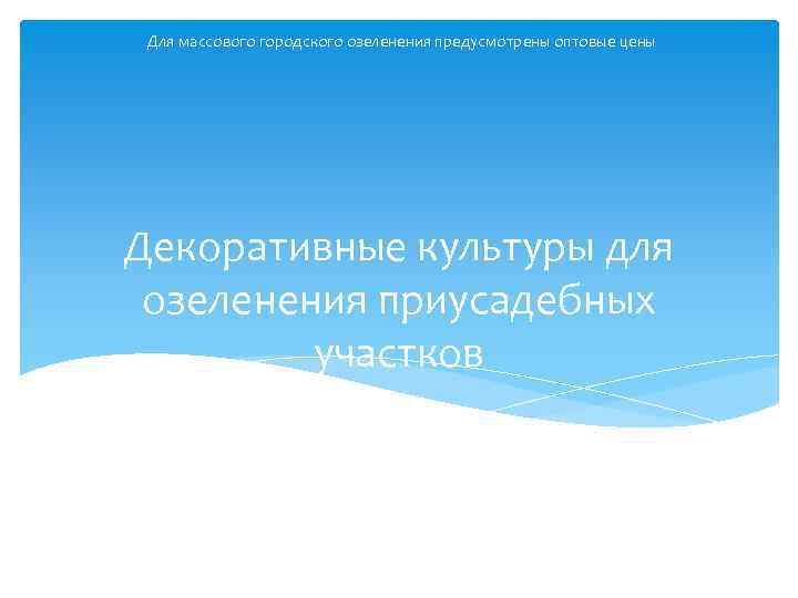 Для массового городского озеленения предусмотрены оптовые цены Декоративные культуры для озеленения приусадебных участков 