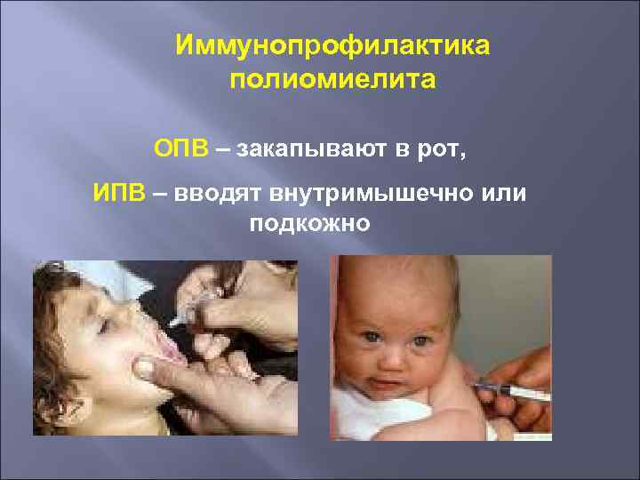 Иммунопрофилактика полиомиелита ОПВ – закапывают в рот, ИПВ – вводят внутримышечно или подкожно 