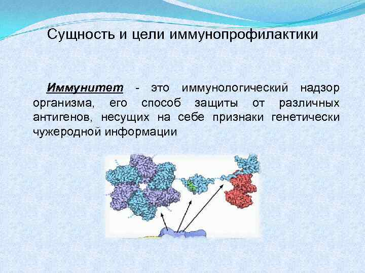 Сущность и цели иммунопрофилактики Иммунитет - это иммунологический надзор организма, его способ защиты от