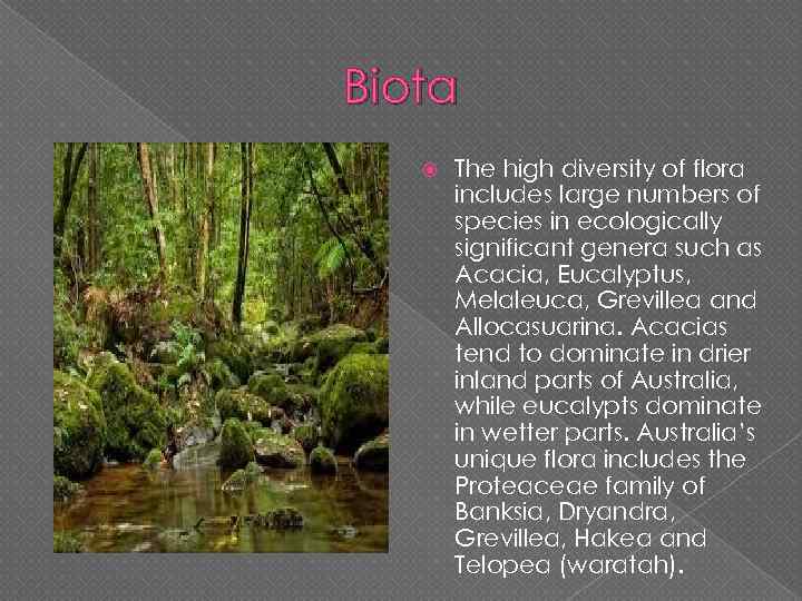 Biota The high diversity of flora includes large numbers of species in ecologically significant