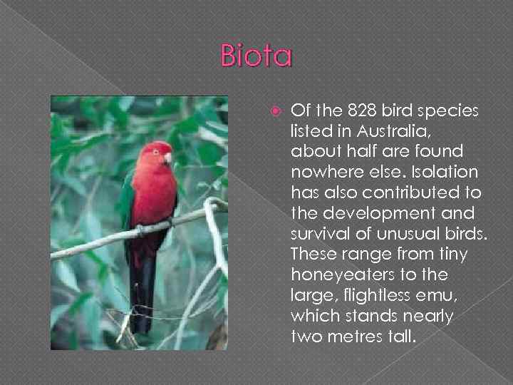 Biota Of the 828 bird species listed in Australia, about half are found nowhere