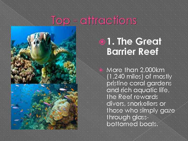 Top - attractions 1. The Great Barrier Reef More than 2, 000 km (1,
