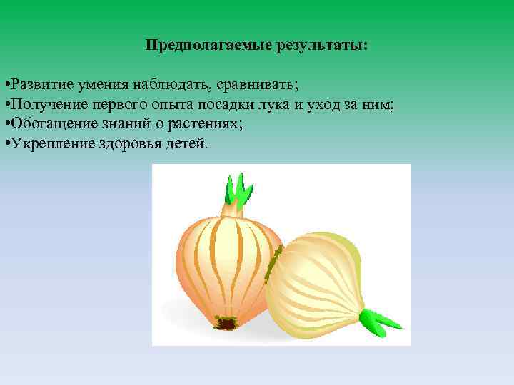 Предполагаемые результаты: • Развитие умения наблюдать, сравнивать; • Получение первого опыта посадки лука и