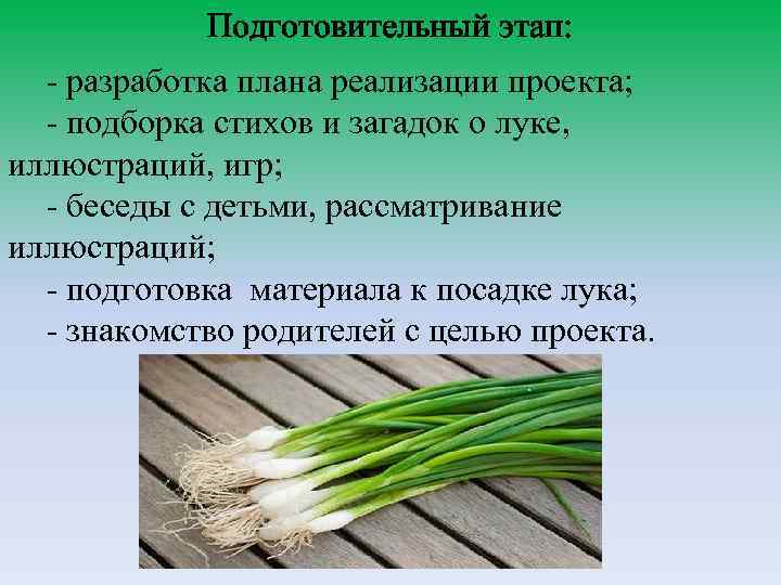 Подготовительный этап: - разработка плана реализации проекта; - подборка стихов и загадок о луке,