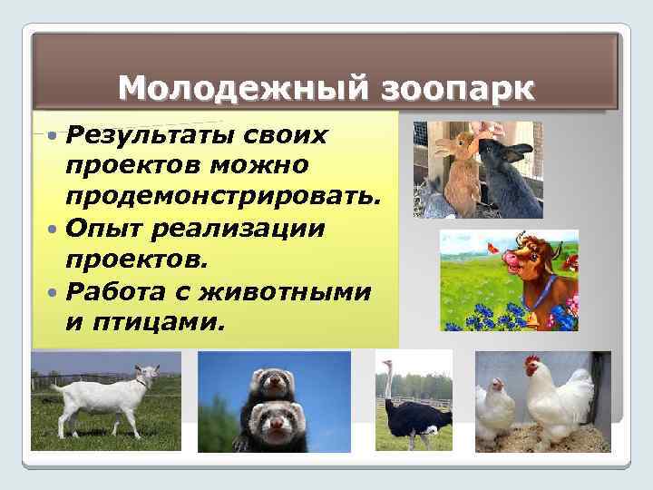 Молодежный зоопарк Результаты своих проектов можно продемонстрировать. Опыт реализации проектов. Работа с животными и