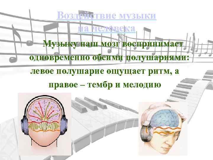 Воздействие музыки на человека Музыку наш мозг воспринимает одновременно обеими полушариями: левое полушарие ощущает