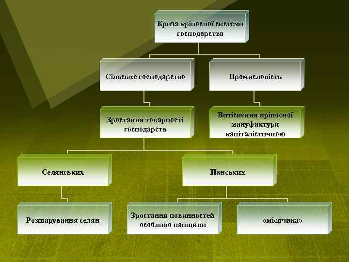 Криза кріпосної системи господарства Сільське господарство Зростання товарності господарств Селянських Розшарування селян Промисловість Витіснення