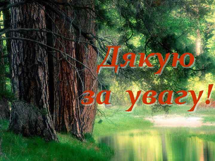 Дякую за увагу! 