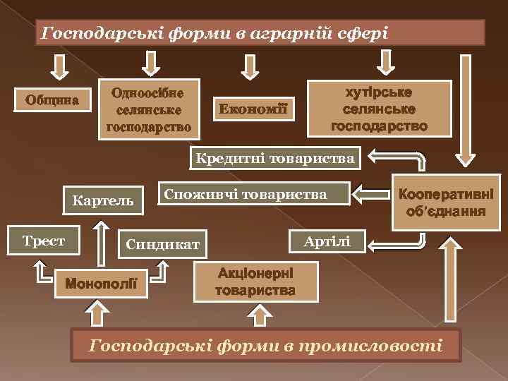 Господарські форми в аграрній сфері Община Одноосібне селянське господарство хутірське селянське господарство Економії Кредитні