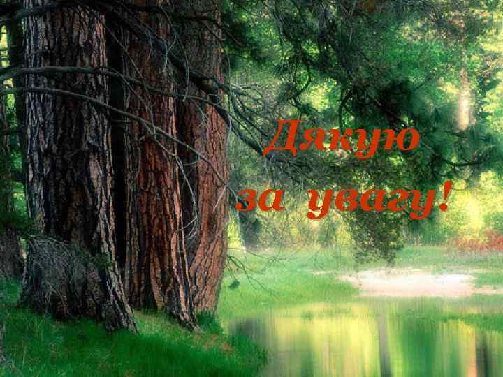 Дякую за увагу! 