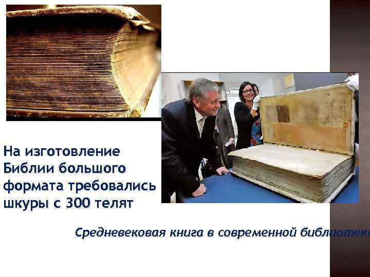 На изготовление Библии большого формата требовались шкуры с 300 телят Средневековая книга в современной