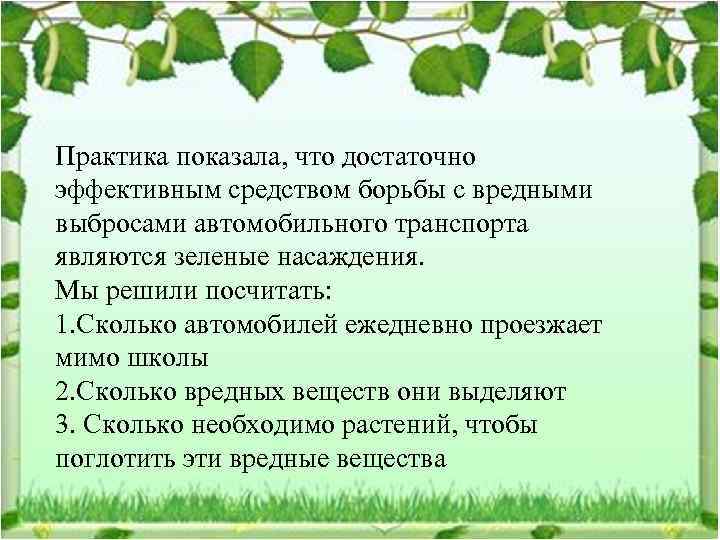 Практика показала, что достаточно эффективным средством борьбы с вредными выбросами автомобильного транспорта являются зеленые