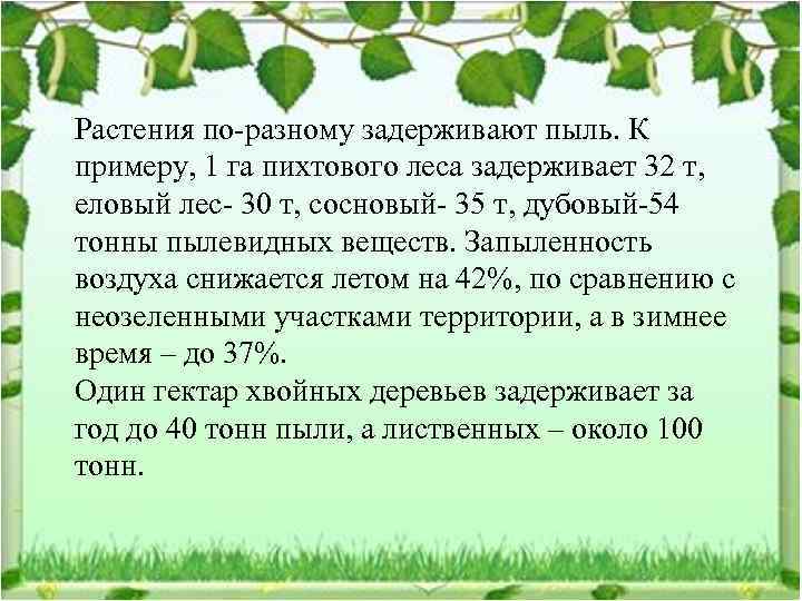 Растения по-разному задерживают пыль. К примеру, 1 га пихтового леса задерживает 32 т, еловый