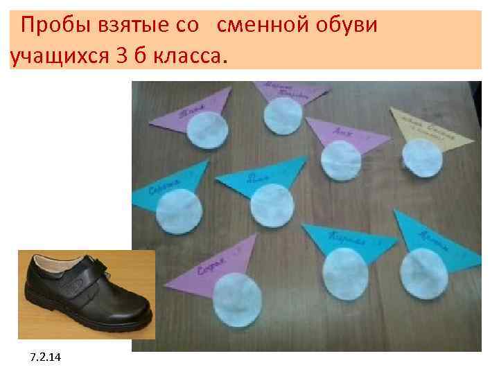 Пробы взятые со сменной обуви учащихся 3 б класса. 7. 2. 14 