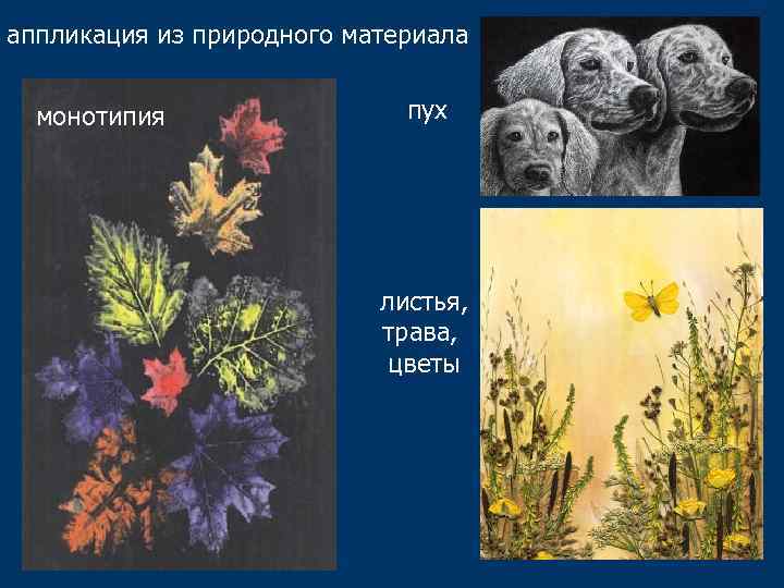 аппликация из природного материала монотипия пух листья, трава, цветы 