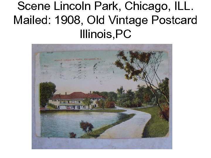 Scene Lincoln Park, Chicago, ILL. Mailed: 1908, Old Vintage Postcard Illinois, PC 