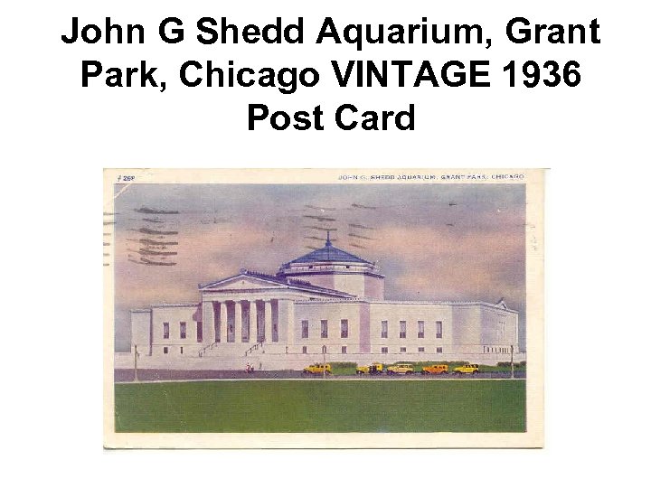 John G Shedd Aquarium, Grant Park, Chicago VINTAGE 1936 Post Card 