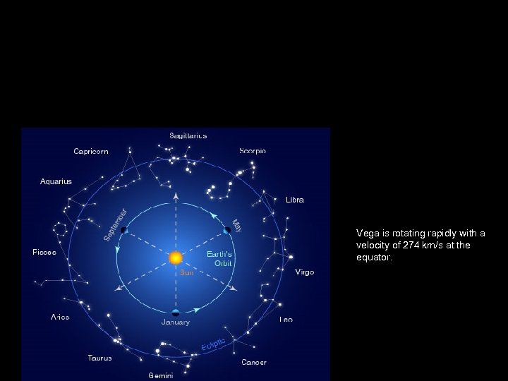 Vega is rotating rapidly with a velocity of 274 km/s at the equator. 